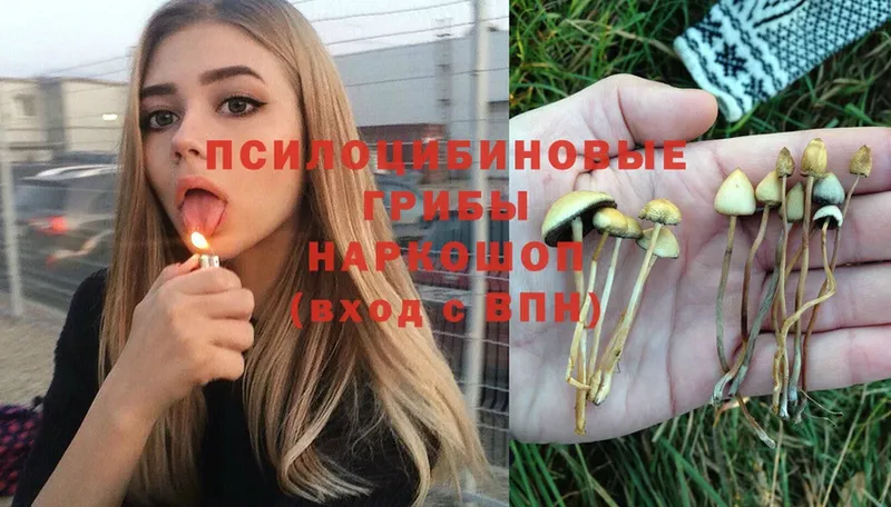 Галлюциногенные грибы ЛСД  Невинномысск 